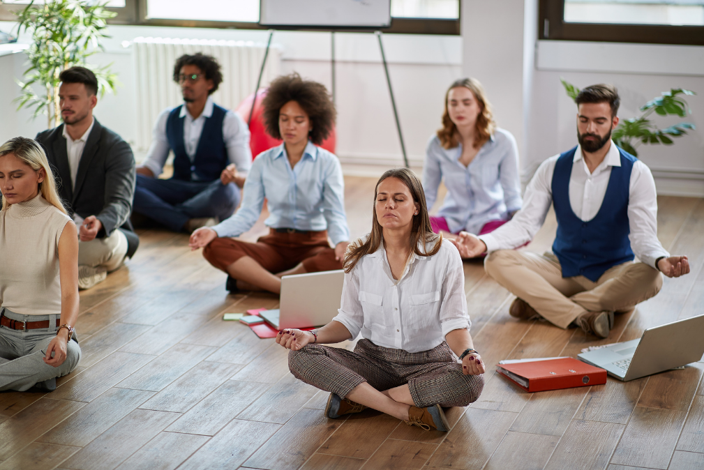 Stress relief and burnout prevention programme for professionals